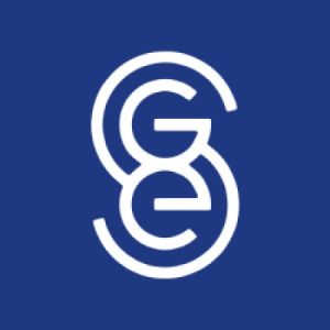 Gemini Solutions logo